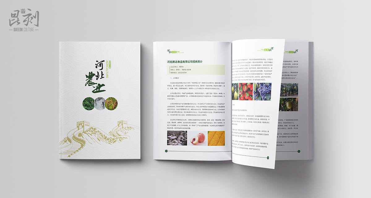 品牌形象与建设