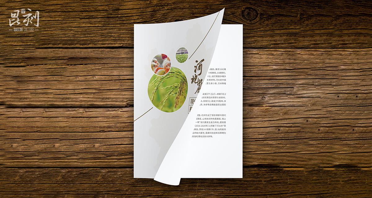 品牌形象与建设