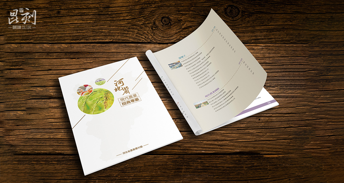 品牌形象与建设