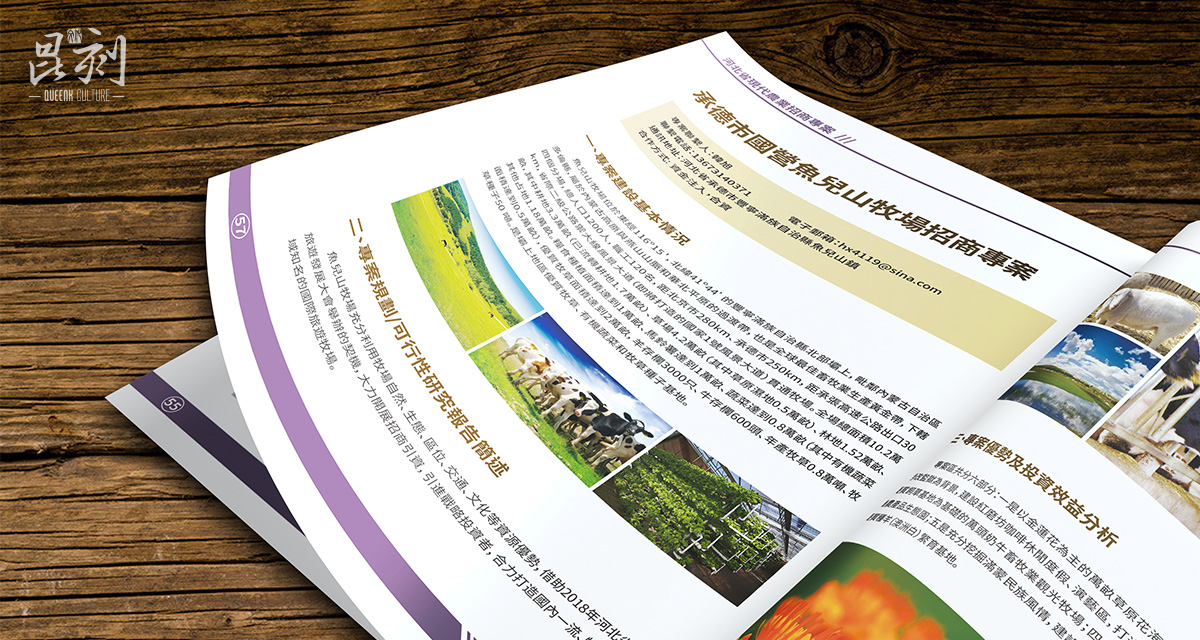 品牌形象与建设