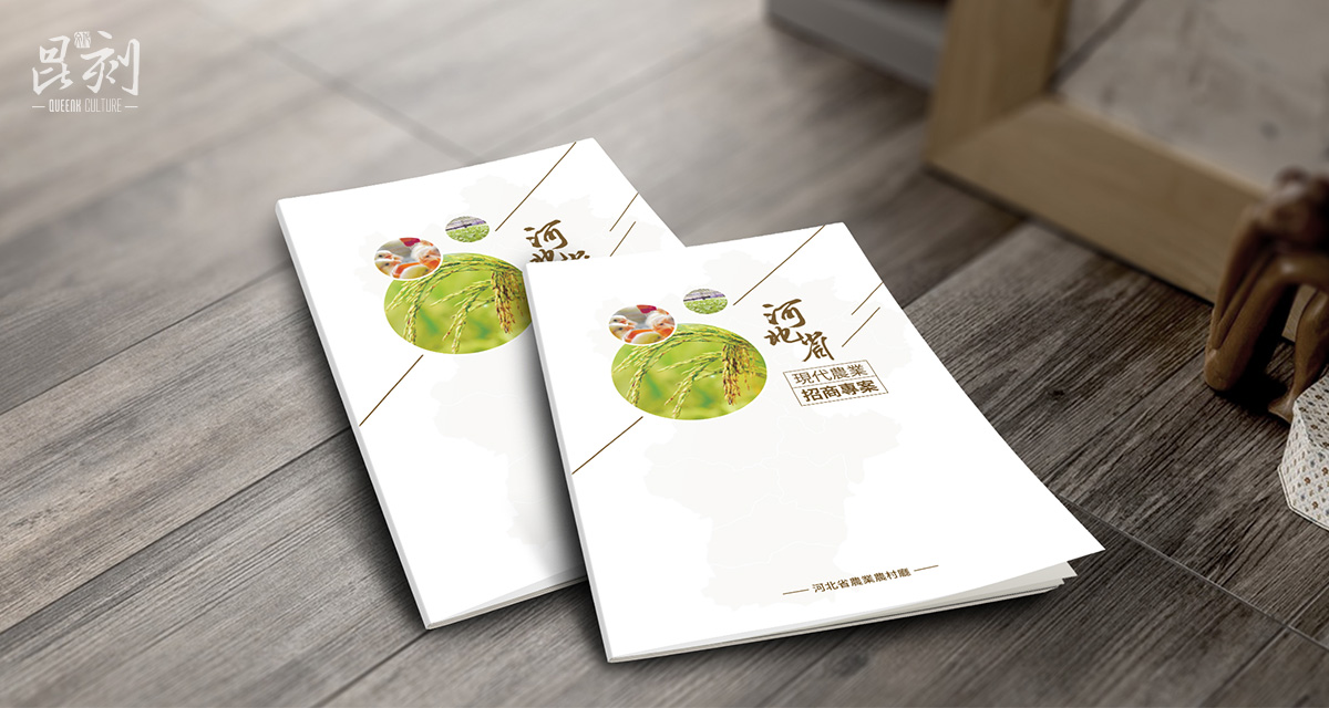 品牌形象与建设