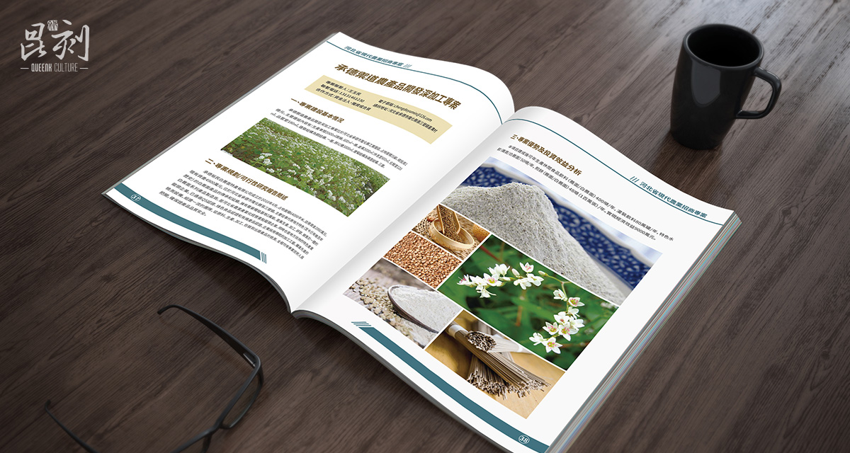 品牌形象与建设