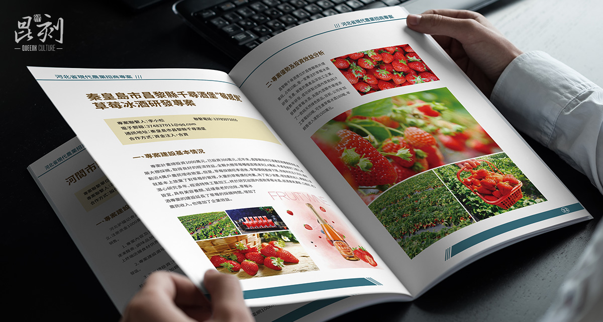 品牌形象与建设